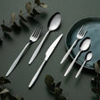 Emsan Okaliptus 36-Piece 6-Person Cutlery Set with Box - Emsan Jordan