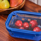 Emsan Smart 640 ml Borosilicate Storage Container - Emsan Jordan
